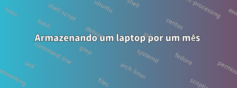 Armazenando um laptop por um mês