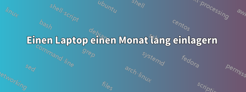 Einen Laptop einen Monat lang einlagern