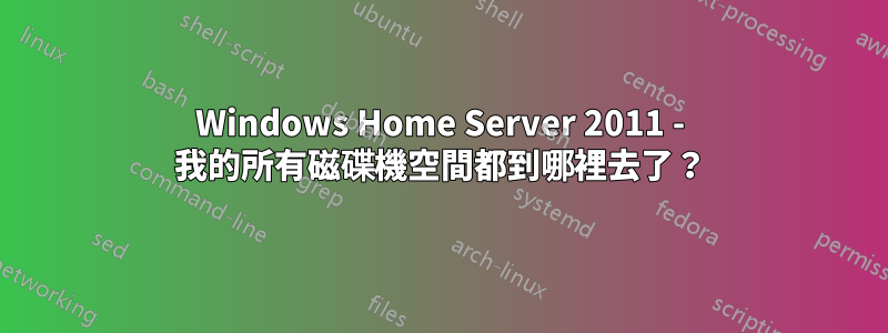 Windows Home Server 2011 - 我的所有磁碟機空間都到哪裡去了？