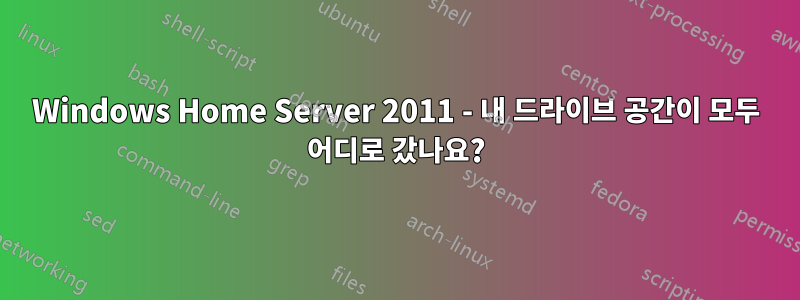 Windows Home Server 2011 - 내 드라이브 공간이 모두 어디로 갔나요?