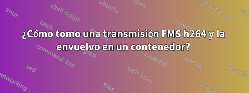 ¿Cómo tomo una transmisión FMS h264 y la envuelvo en un contenedor?