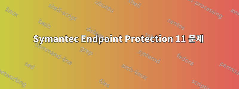 Symantec Endpoint Protection 11 문제