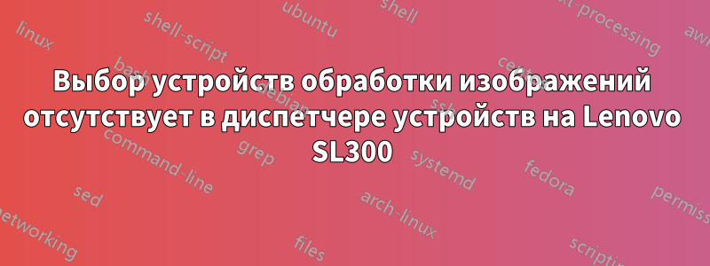 Выбор устройств обработки изображений отсутствует в диспетчере устройств на Lenovo SL300