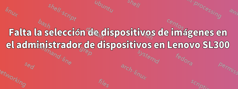 Falta la selección de dispositivos de imágenes en el administrador de dispositivos en Lenovo SL300