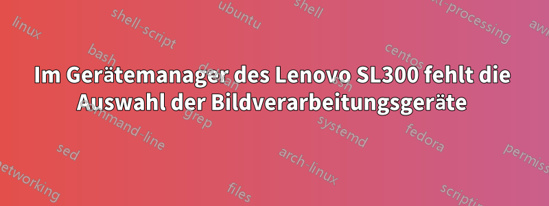 Im Gerätemanager des Lenovo SL300 fehlt die Auswahl der Bildverarbeitungsgeräte