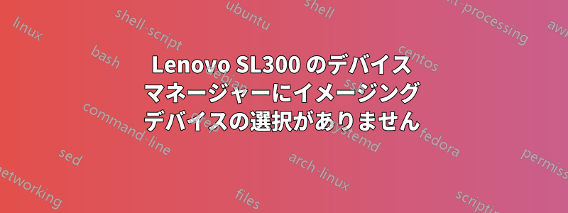 Lenovo SL300 のデバイス マネージャーにイメージング デバイスの選択がありません