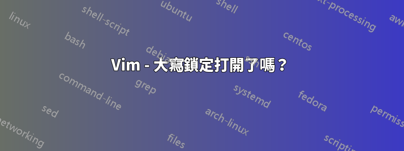 Vim - 大寫鎖定打開了嗎？