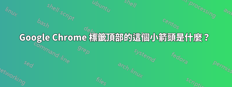 Google Chrome 標籤頂部的這個小箭頭是什麼？