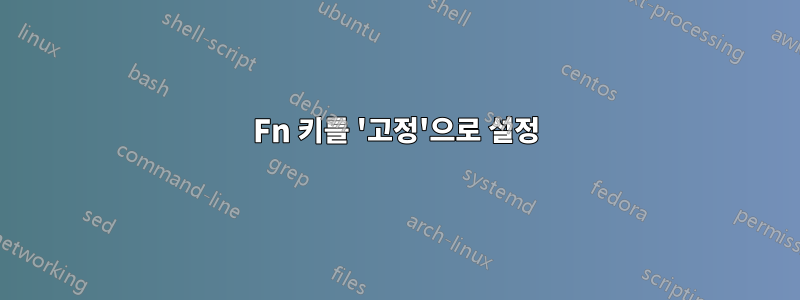 Fn 키를 '고정'으로 설정