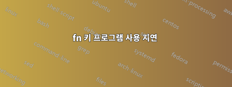 fn 키 프로그램 사용 지연