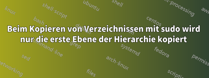 Beim Kopieren von Verzeichnissen mit sudo wird nur die erste Ebene der Hierarchie kopiert