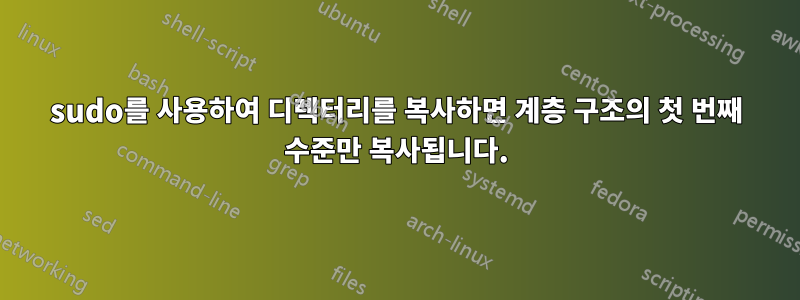 sudo를 사용하여 디렉터리를 복사하면 계층 구조의 첫 번째 수준만 복사됩니다.