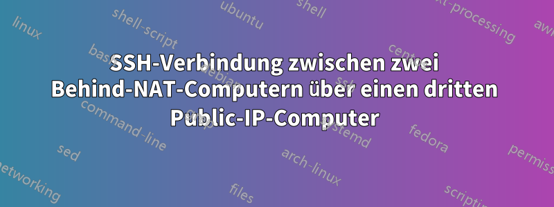 SSH-Verbindung zwischen zwei Behind-NAT-Computern über einen dritten Public-IP-Computer