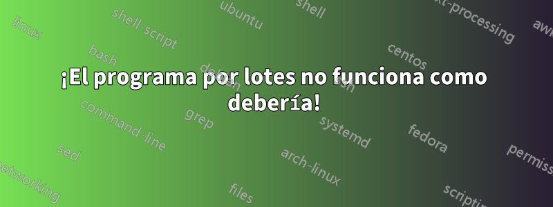 ¡El programa por lotes no funciona como debería!