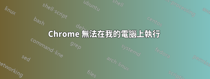 Chrome 無法在我的電腦上執行