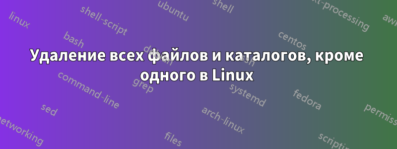 Удаление всех файлов и каталогов, кроме одного в Linux