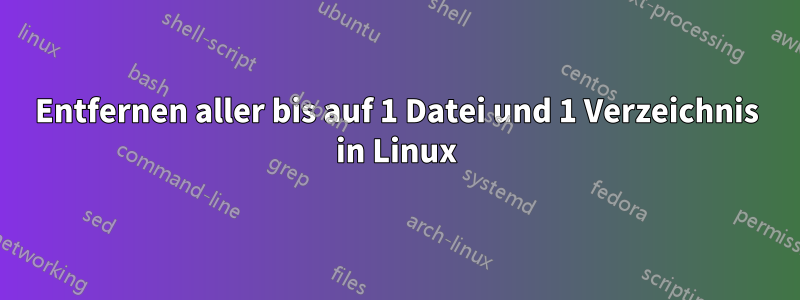 Entfernen aller bis auf 1 Datei und 1 Verzeichnis in Linux