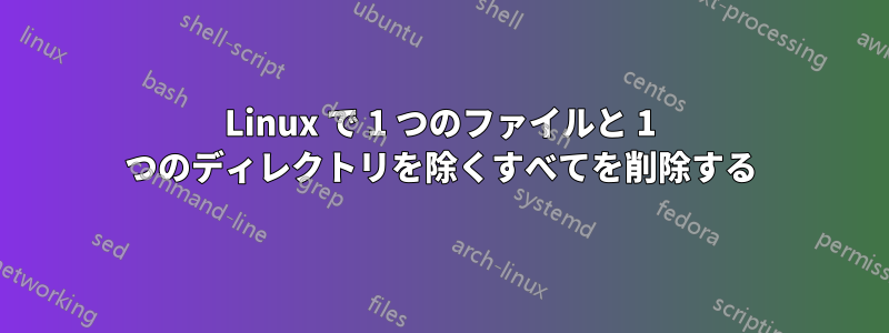 Linux で 1 つのファイルと 1 つのディレクトリを除くすべてを削除する