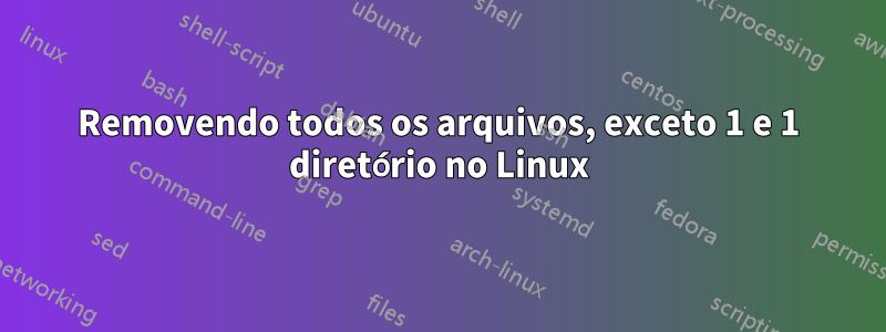 Removendo todos os arquivos, exceto 1 e 1 diretório no Linux