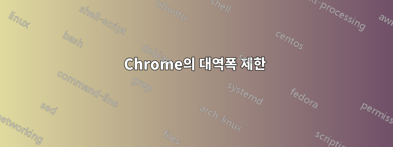 Chrome의 대역폭 제한