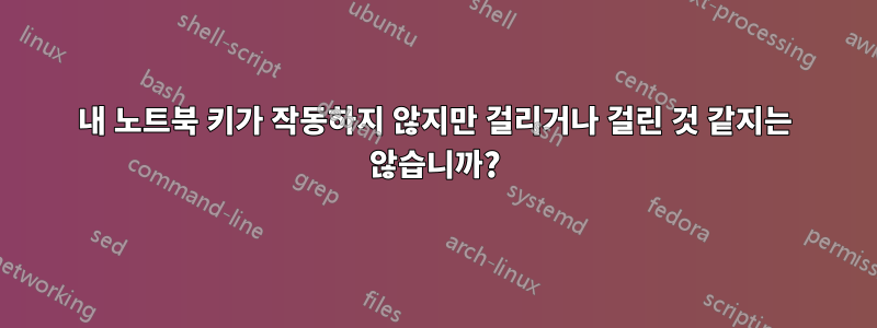 내 노트북 ​​키가 작동하지 않지만 걸리거나 걸린 것 같지는 않습니까?