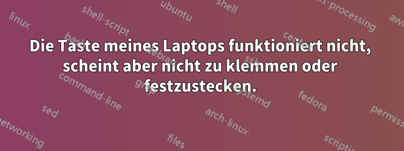 Die Taste meines Laptops funktioniert nicht, scheint aber nicht zu klemmen oder festzustecken.