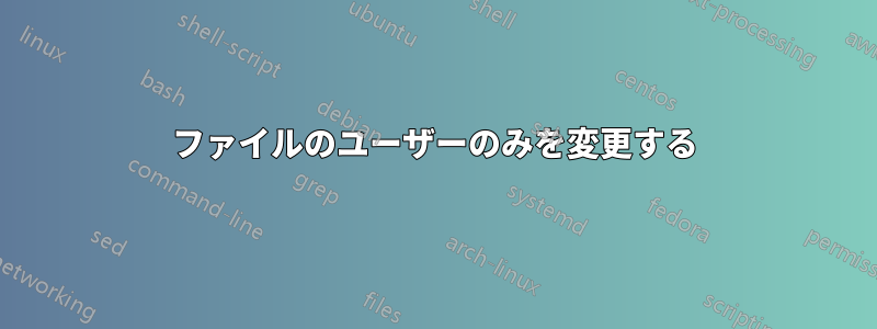 ファイルのユーザーのみを変更する