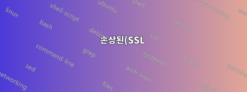 손상된(SSL) 키 저장소/위조 SSL 인증서 발견