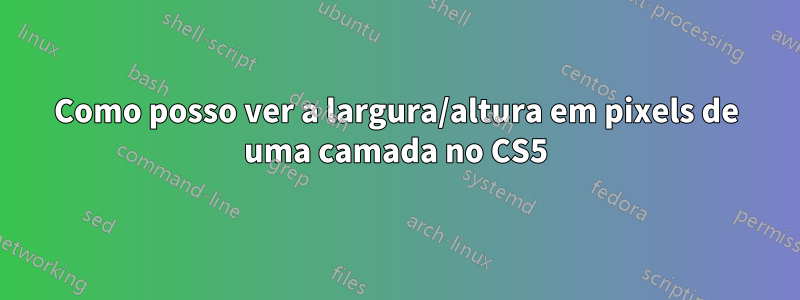 Como posso ver a largura/altura em pixels de uma camada no CS5