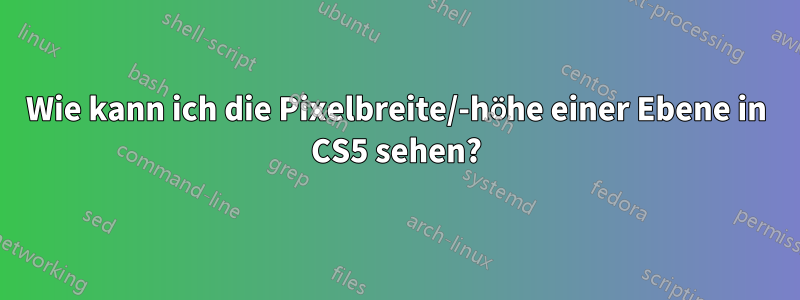 Wie kann ich die Pixelbreite/-höhe einer Ebene in CS5 sehen?