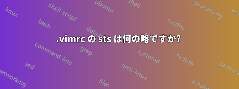 .vimrc の sts は何の略ですか?