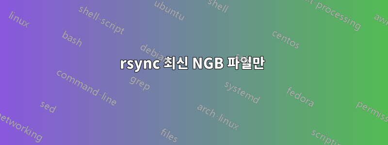 rsync 최신 NGB 파일만