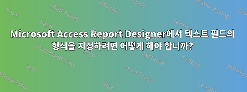 Microsoft Access Report Designer에서 텍스트 필드의 형식을 지정하려면 어떻게 해야 합니까?