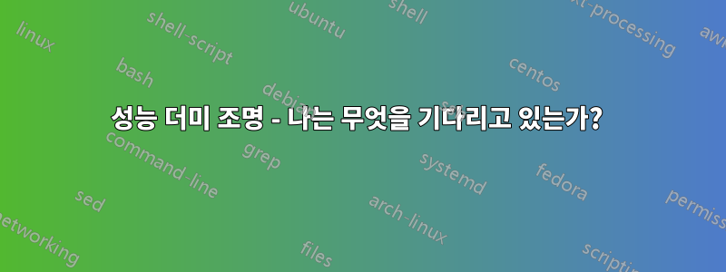 성능 더미 조명 - 나는 무엇을 기다리고 있는가? 