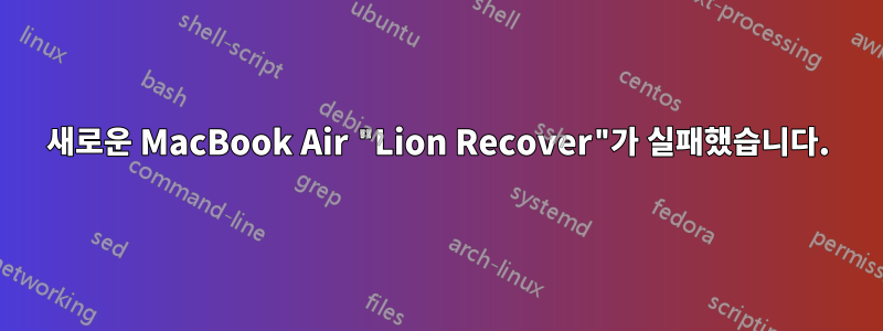 새로운 MacBook Air "Lion Recover"가 실패했습니다.