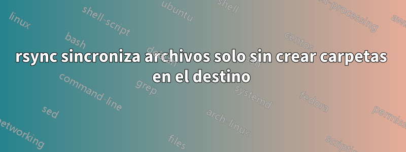 rsync sincroniza archivos solo sin crear carpetas en el destino