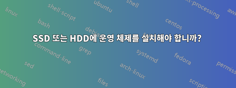 SSD 또는 HDD에 운영 체제를 설치해야 합니까?