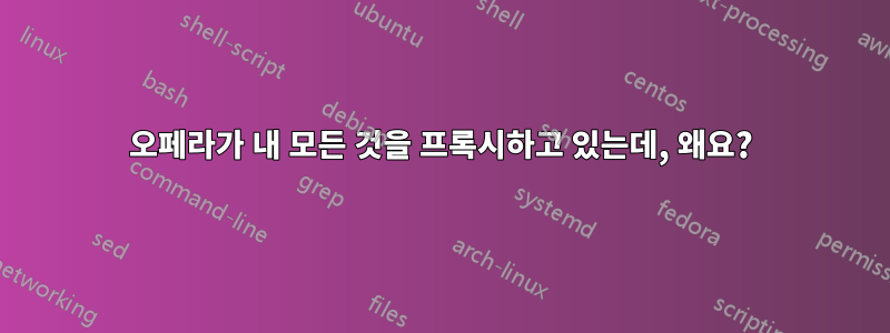 오페라가 내 모든 것을 프록시하고 있는데, 왜요?