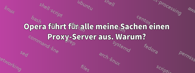 Opera führt für alle meine Sachen einen Proxy-Server aus. Warum?