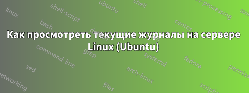 Как просмотреть текущие журналы на сервере Linux (Ubuntu)