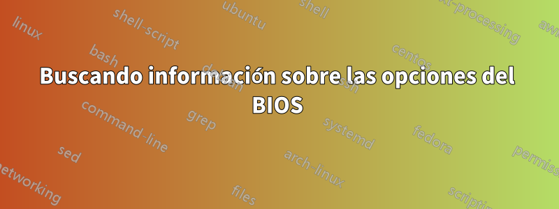 Buscando información sobre las opciones del BIOS