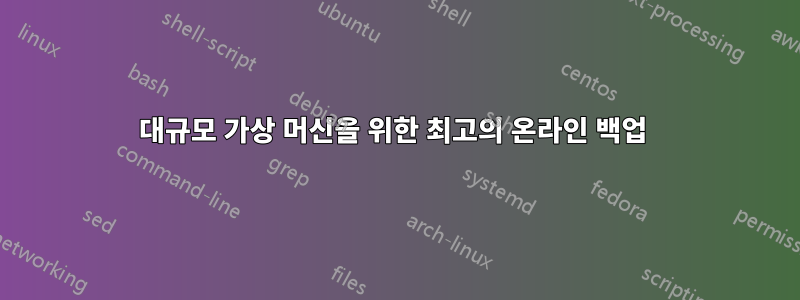 대규모 가상 머신을 위한 최고의 온라인 백업 