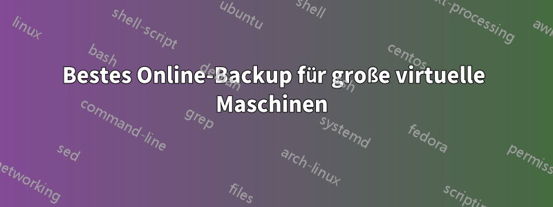 Bestes Online-Backup für große virtuelle Maschinen 