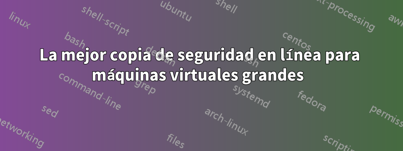 La mejor copia de seguridad en línea para máquinas virtuales grandes 