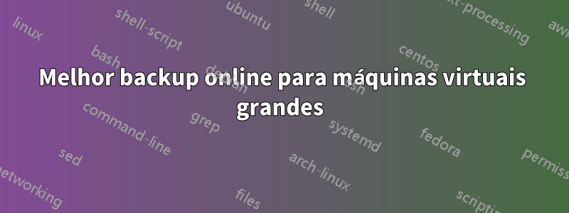 Melhor backup online para máquinas virtuais grandes 