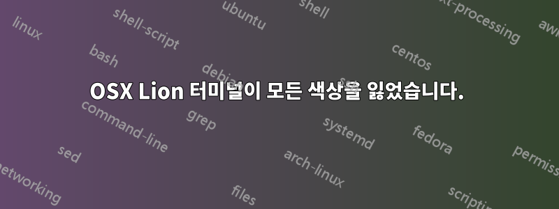 OSX Lion 터미널이 모든 색상을 잃었습니다.