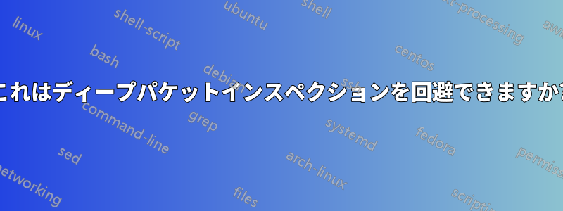 これはディープパケットインスペクションを回避できますか?