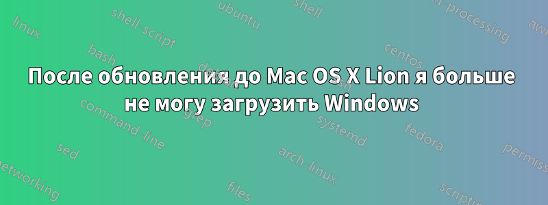 После обновления до Mac OS X Lion я больше не могу загрузить Windows