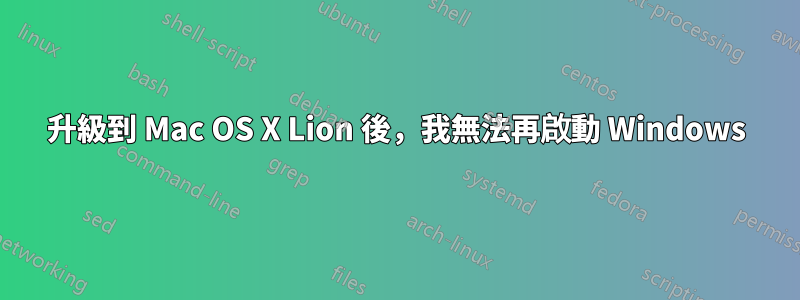 升級到 Mac OS X Lion 後，我無法再啟動 Windows