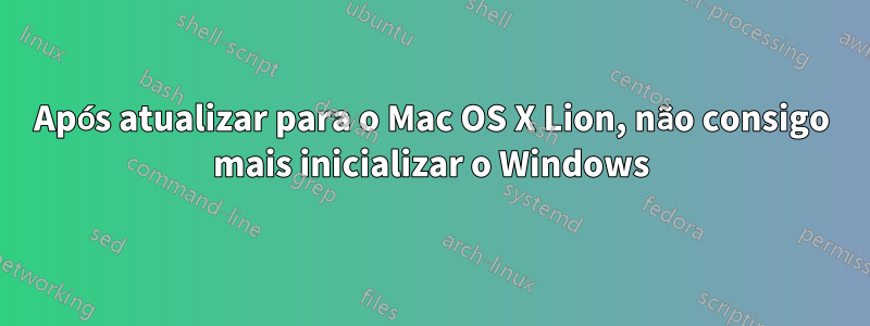 Após atualizar para o Mac OS X Lion, não consigo mais inicializar o Windows